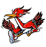 Roadrunner Bird Logo