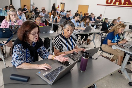 employees working on their laptops