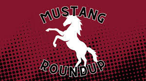 mustang roundup