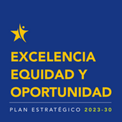 Strategic Plan - Spanish