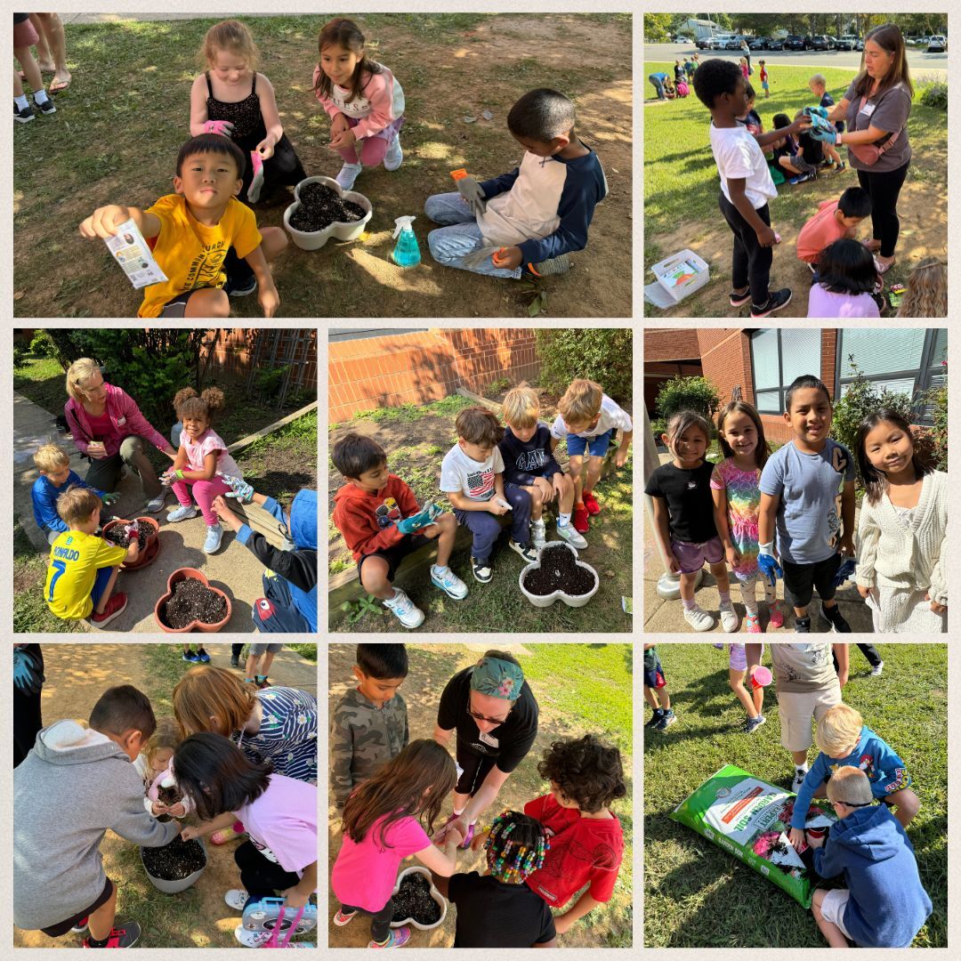 first grade gardeners