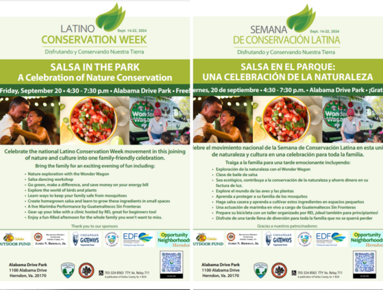 Infographics Salsa in the Park English and Spanish