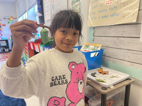 Student holds an example of a chrysalis 