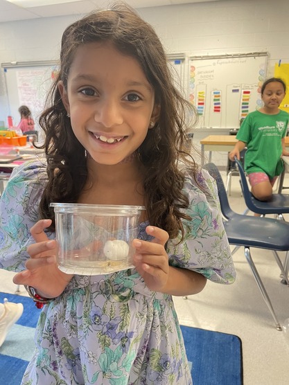 A girl shows a container with baby lady bugs in it