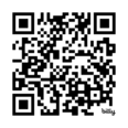 Kings Jesters Shrek Jr. Interest form QR code