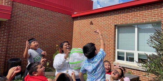 Second grade students releasing the butterflies they grew in classrooms.