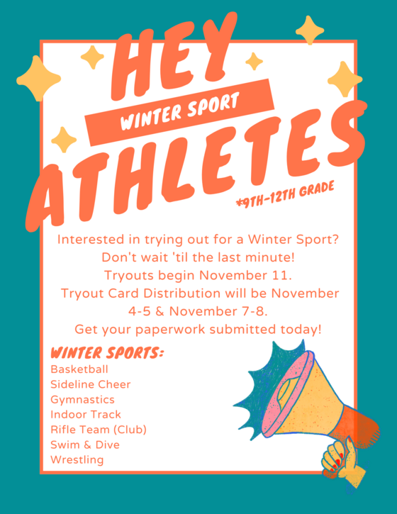 Winter Sports Interest Flyer