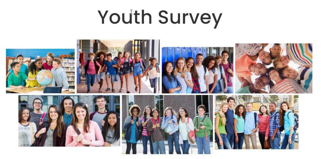 youth survey