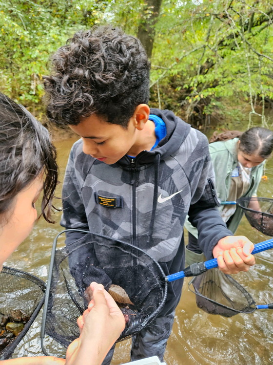 Meaning watershed Educational Experience Student using net