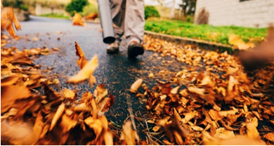 walking through leaves