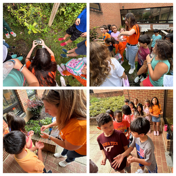 3rd grade butterfly release