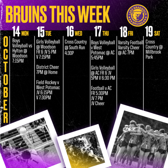 Bruins This Week October 14 - 19, 2024