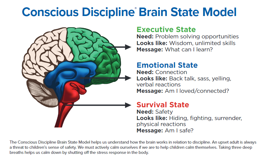 brain states