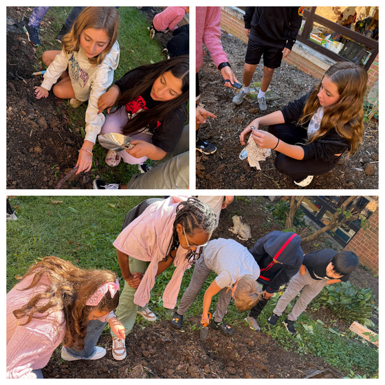 Photos of 5th grade's archaeological dig