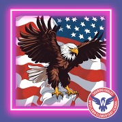 eagle with an American flag background