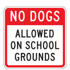 no dogs