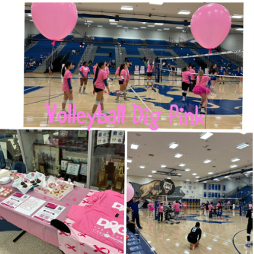 Dig Pink Volleyball