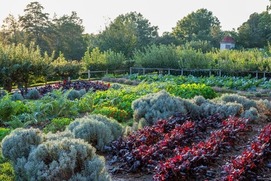 Mount Vernon Gardens