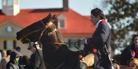 Mount Vernon Horses