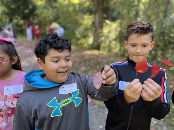 Two boys hold up red leaves 