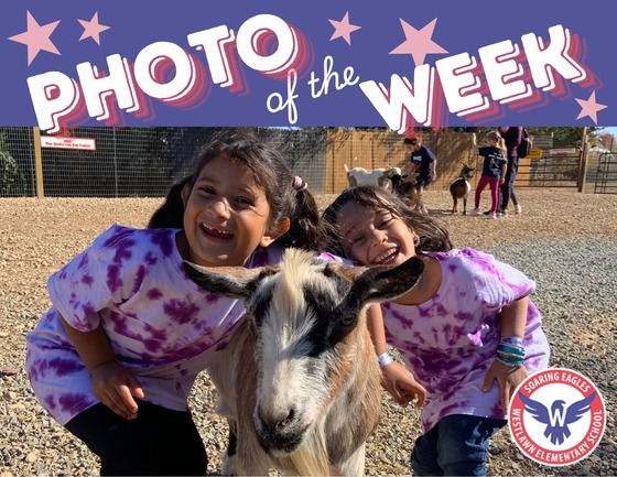 two students pose with a goat on a field trip to the farm