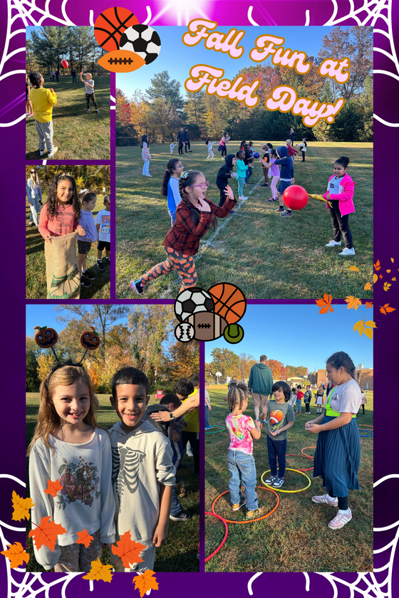 field day photo collage