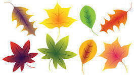 On Friday, students are invited to wear their favorite fall colors for Spirit Day.