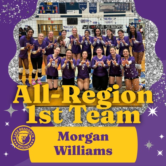 Volleyball All-Region