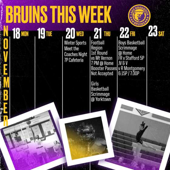 Bruins in Action This Week