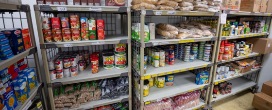 cans of food on shelves