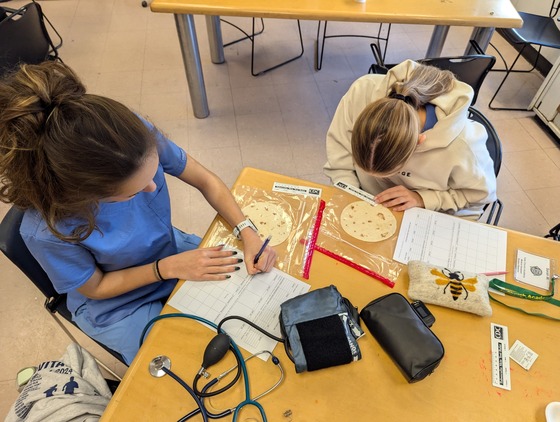 MA students learn to detect melanoma's using tortilla's 