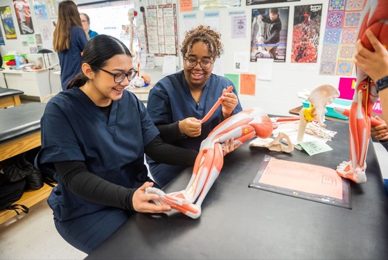 two academy students look at muscles in an anatomy class