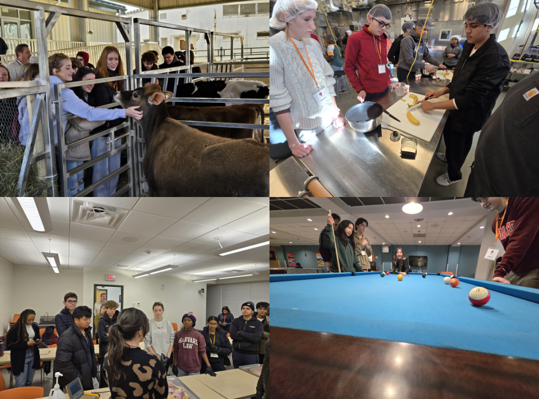 collage of 4 pictures of students playing pool, petting a cow, cutting food, standing in a classroom