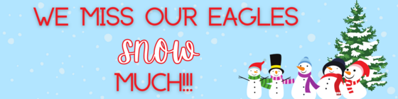 we miss our eagles snow much
