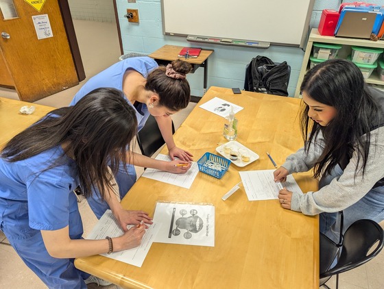 Students learn taste sensors