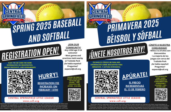 Baseball and Softball flyer