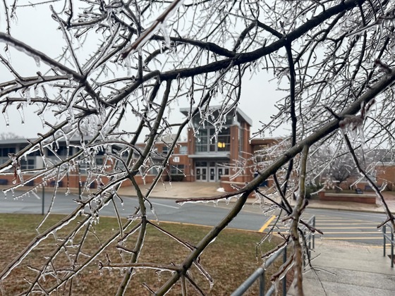 Front of Woodson HS building showing through branches covered in ice