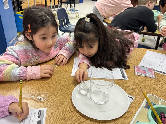 Kindergarten science experiment