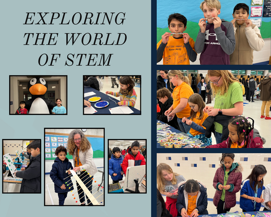 STEM Night Collage