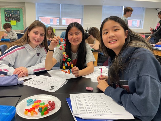 students make DNA candy models in Bio class