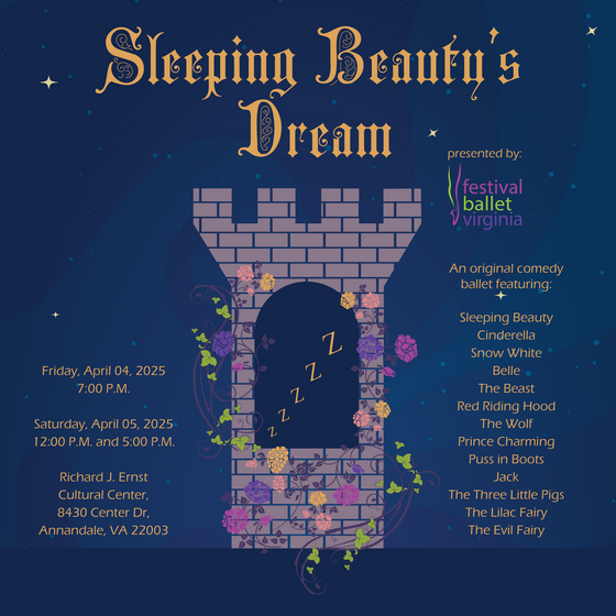 Sleeping Beauty's Dream poster