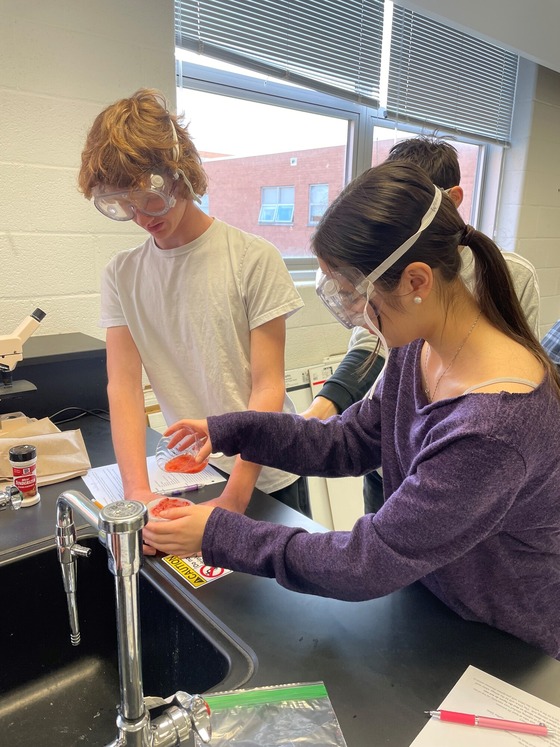 Biology students extracting DNA from a strawberry