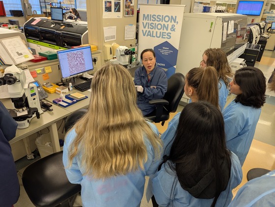 Students learning about medical cultures