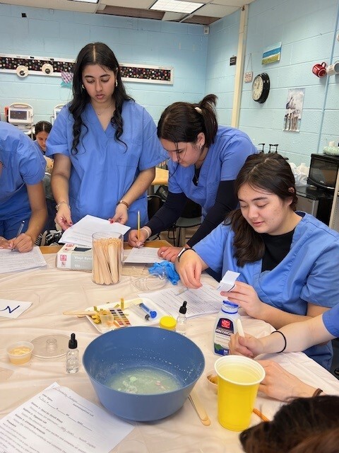 Students learning progression through stool