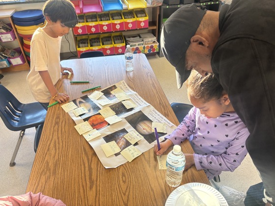Students completing an observation chart
