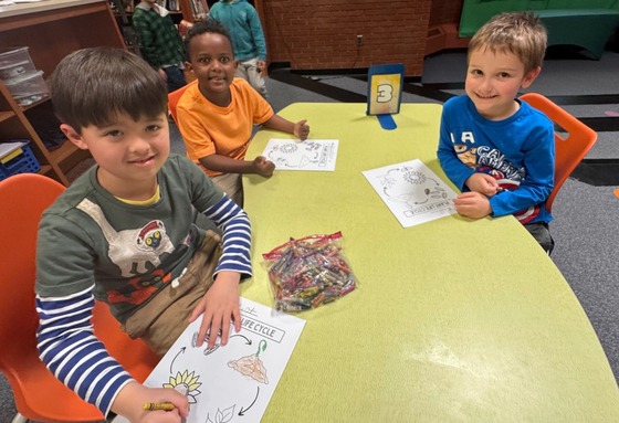 learning about the plant cycle