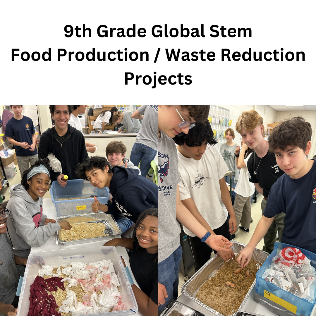students at a table with bins of meal worms