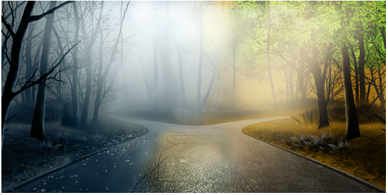 Excellence at the Crossroads!