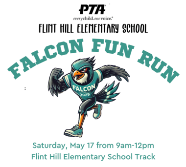 Falcon Fun Run