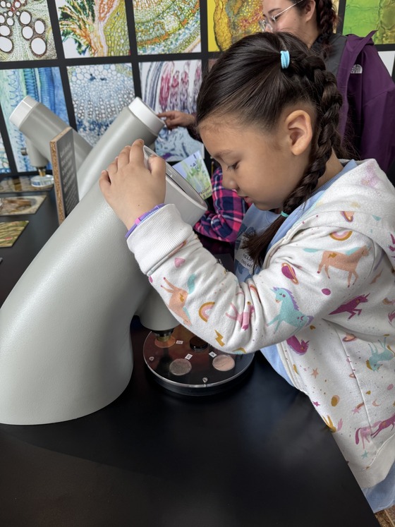 Exploring the botanical gardens 